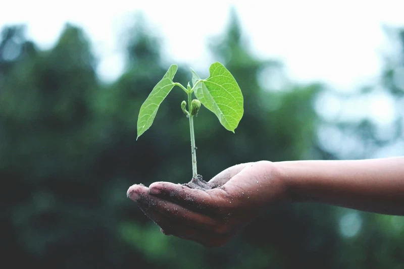 How to scale content creation without sacrificing quality
