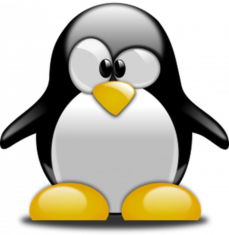 Has Penguin Gone Crazy?