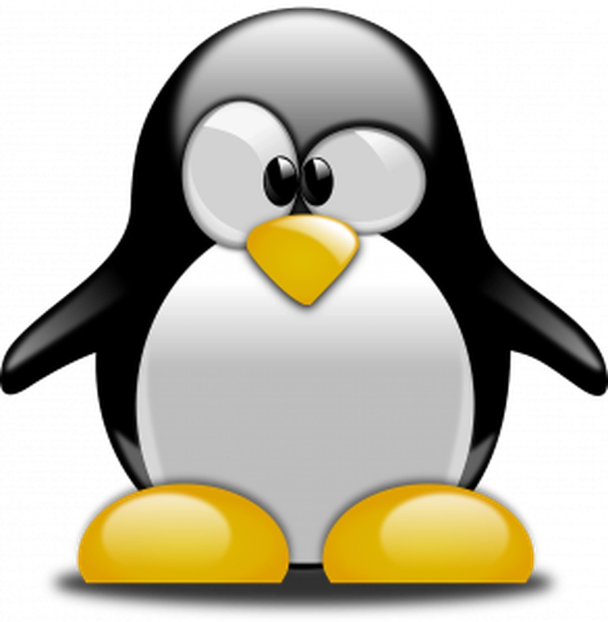 Back to the Basics with Penguin
